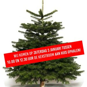 Kerstboom ophalen